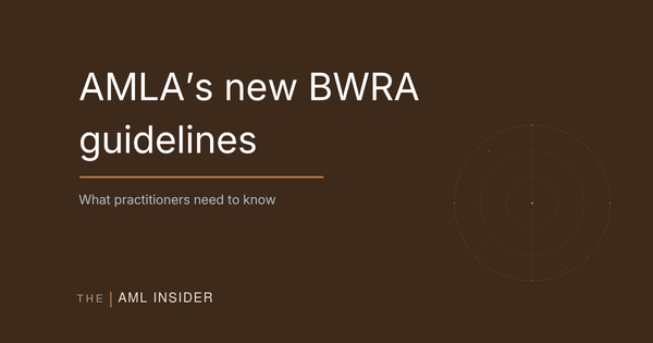 AMLA's BWRA Guidelines: What Practitioners Need to Know