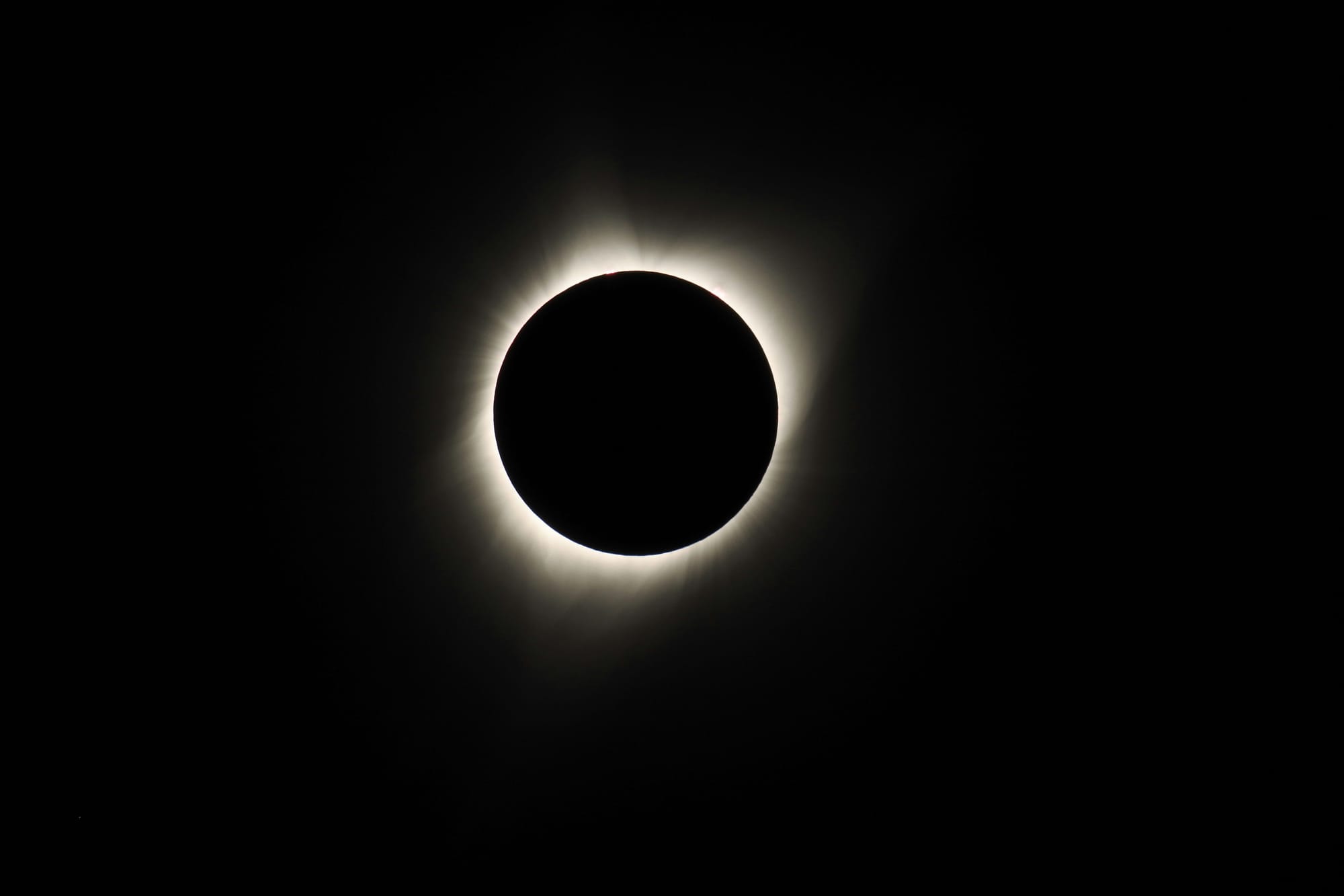 Dark Moon Wards: Shadow-speakers