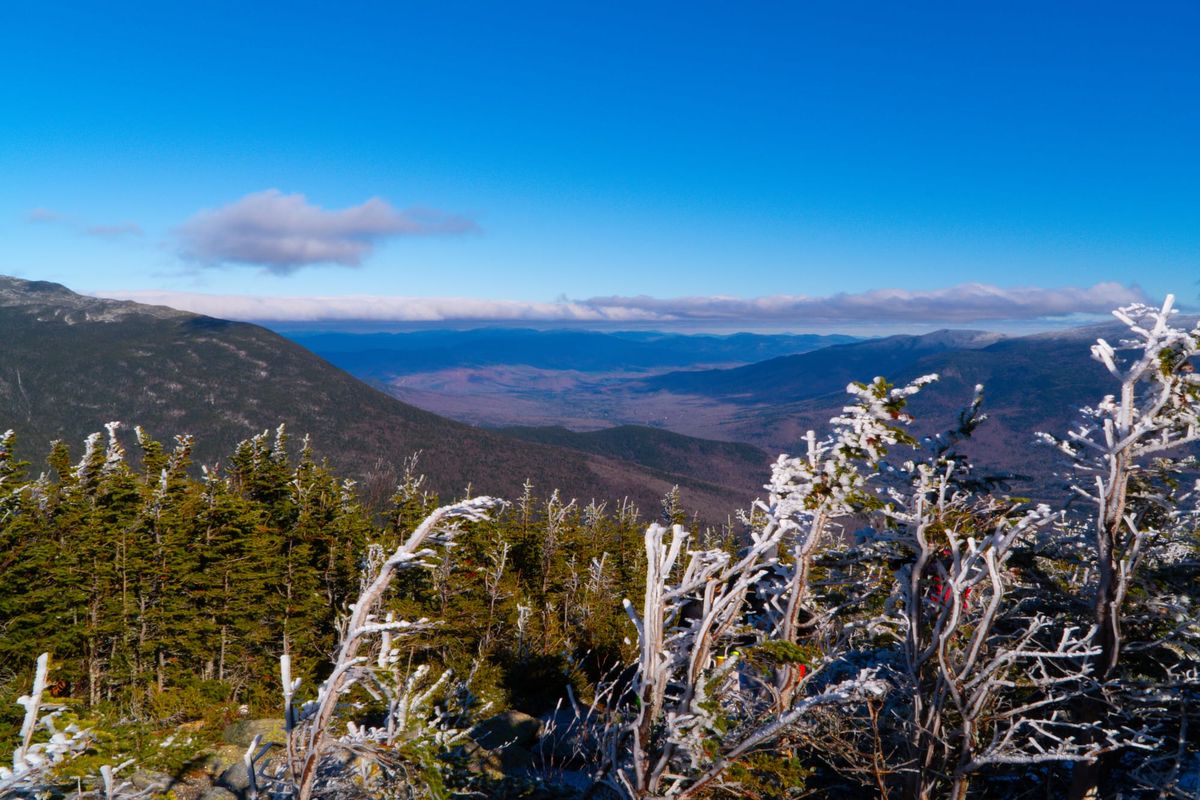 The Road Opens Wider: A Quiet Update