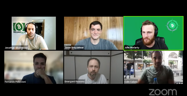 BCH Network Discussion: Introspection