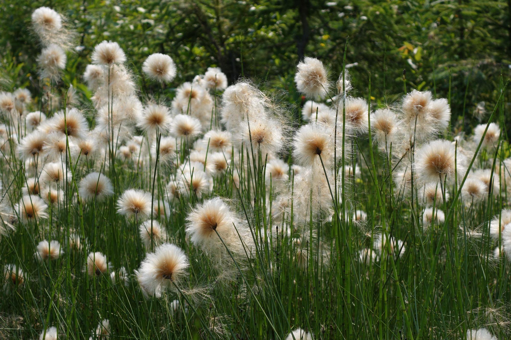 0077: Scroll the Credits