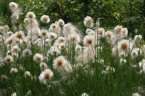 0077: Scroll the Credits