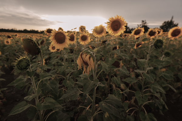 Victim Mentality Doesn’t Need to Be Shamed