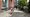 Campus-Kater und Moden-Ciao