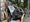 So soll Berlin sauberer werden