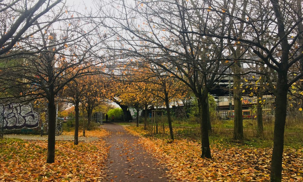 Und hier sieht es auch herbstlich aus, am Mauerweg (Foto: Constanze Nauhaus)