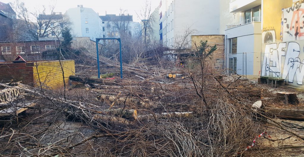 Die Geschichte des Hinterhofs Schönfließer 20 ist nun Geschichte (Foto: Ekkehard Maaß)