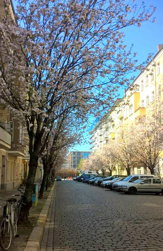 Frühling Prenzlauer Berg Newsletter