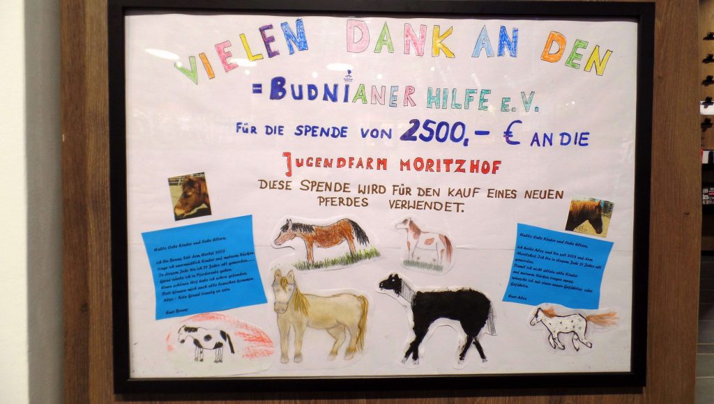 Budni Moritzhof