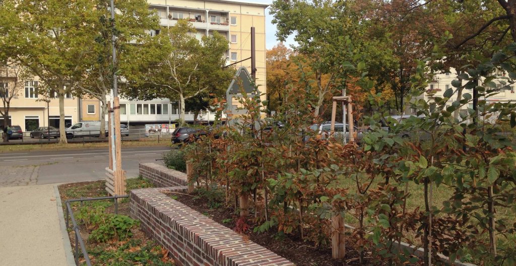 Straßenbäume Arnswalder Platz