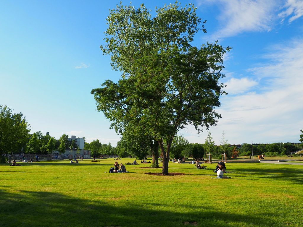 Mauerpark