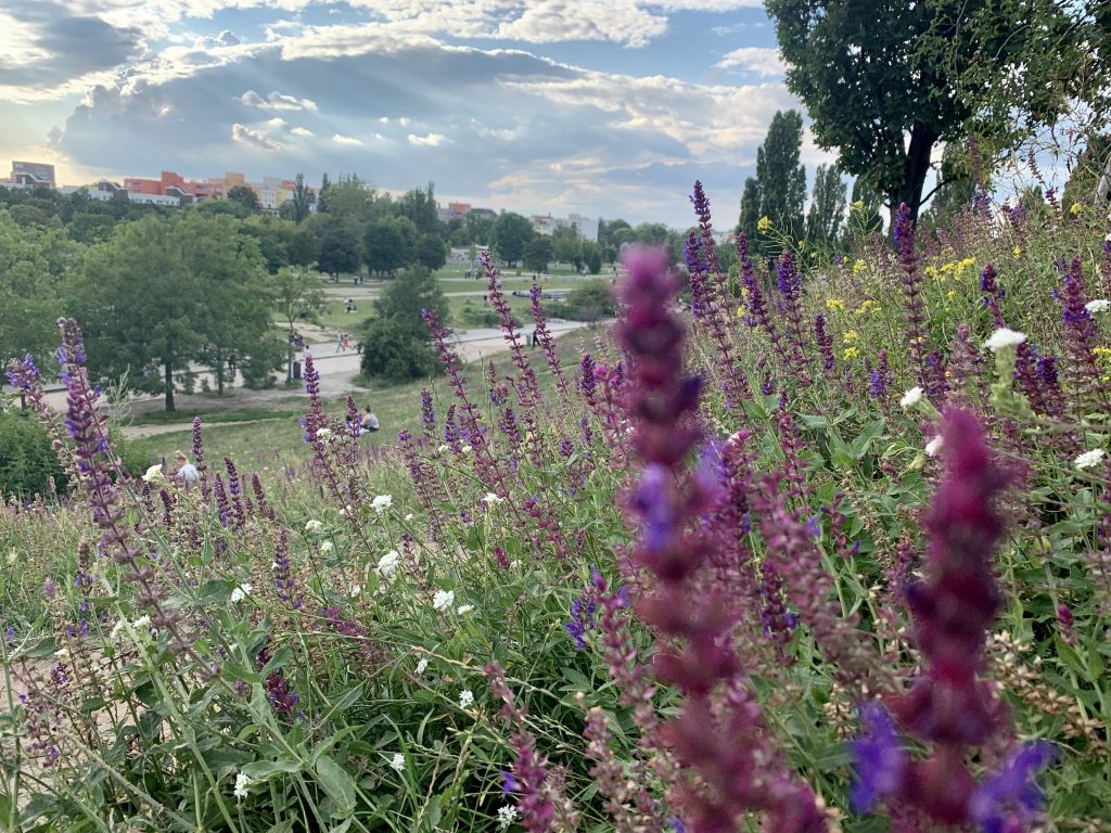 Mauerpark