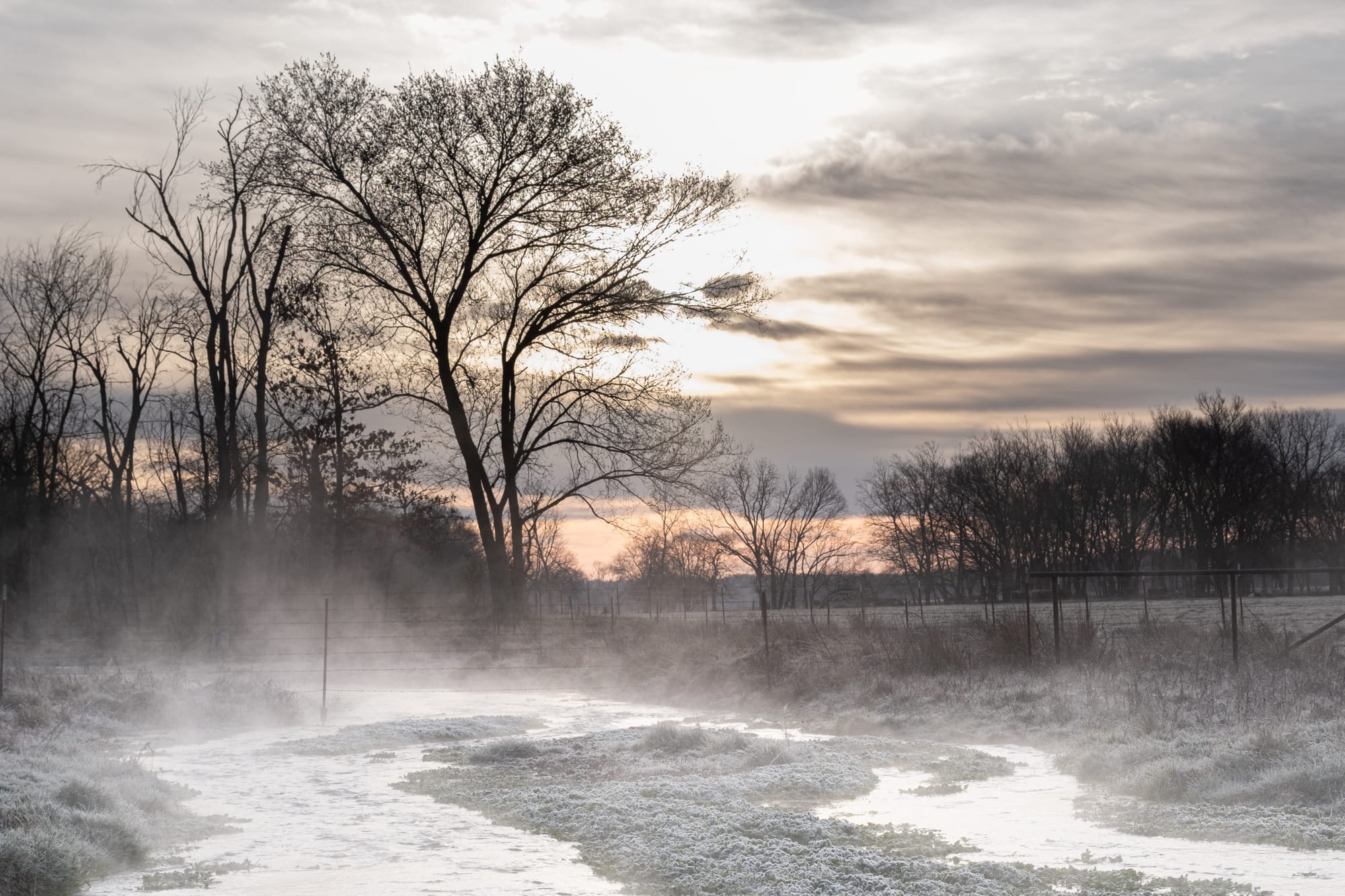 the story of Northwest Arkansas