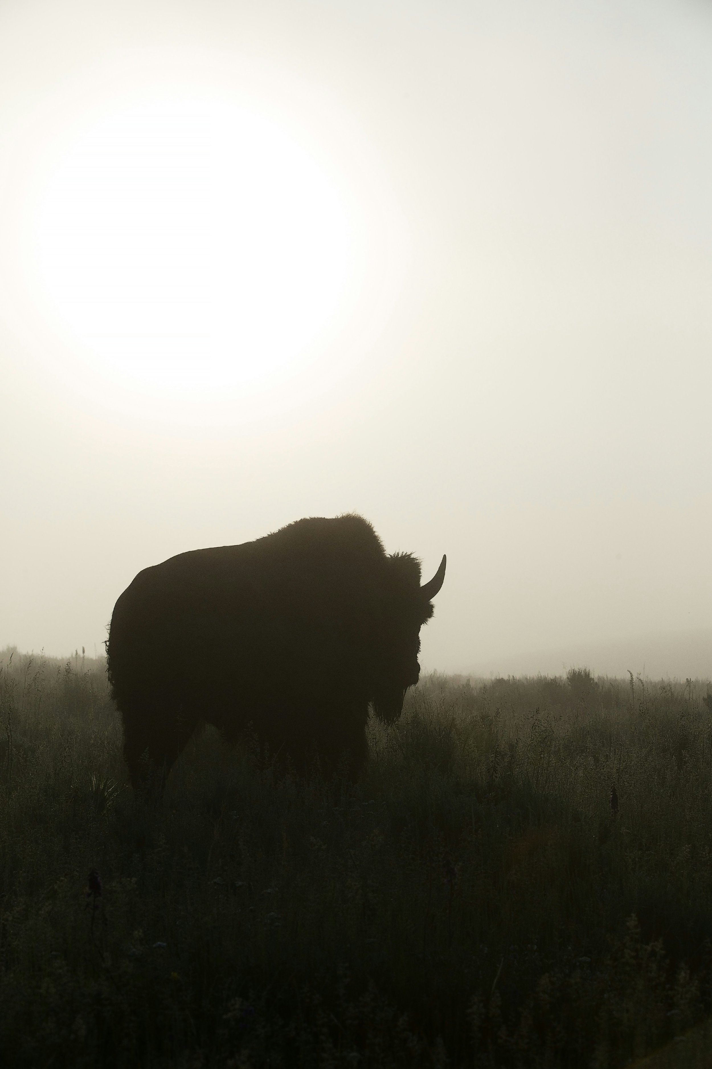  Photo by  Hans Veth  on  Unsplash         