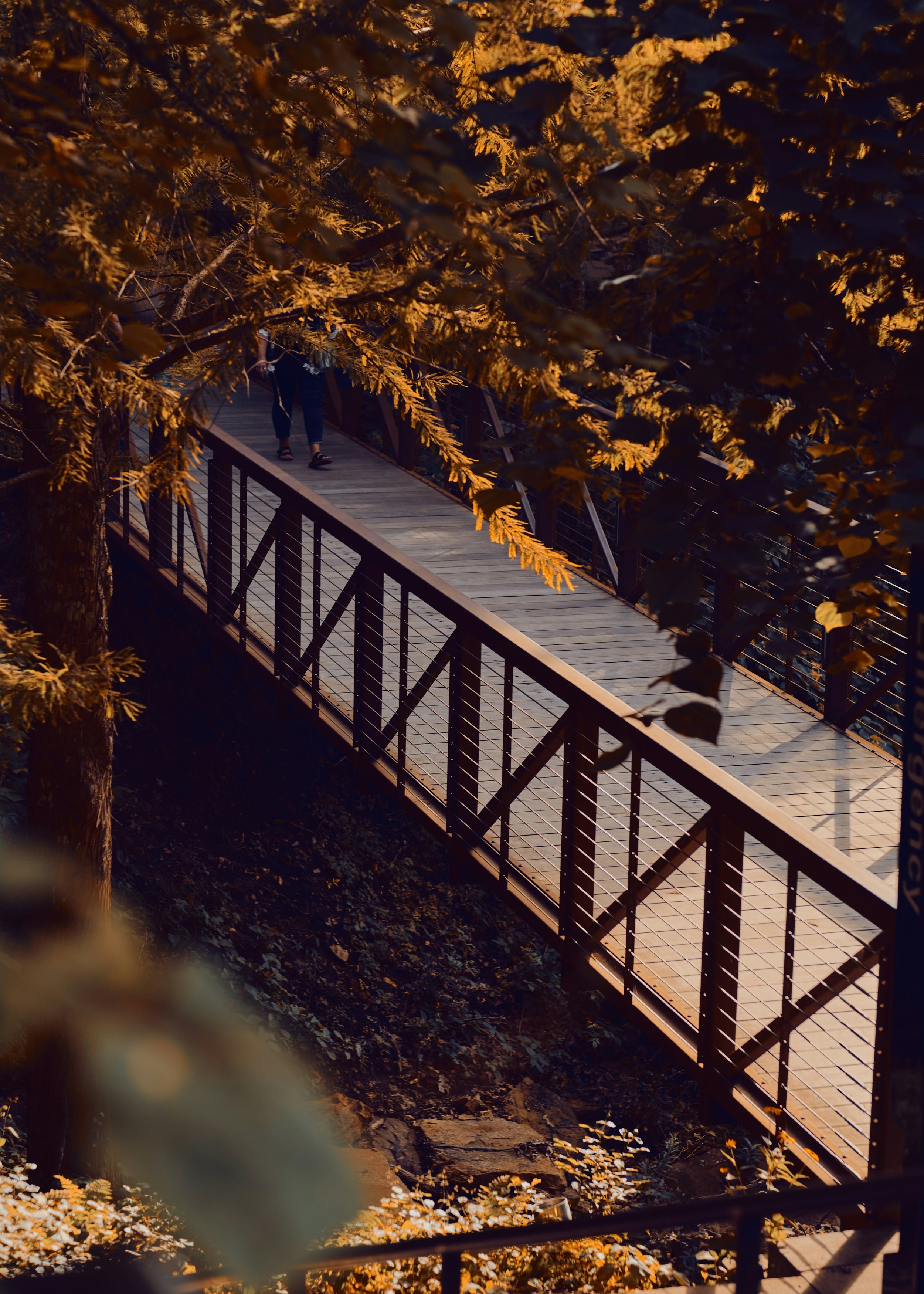  Photo by  Hill Country Camera  on  Unsplash  