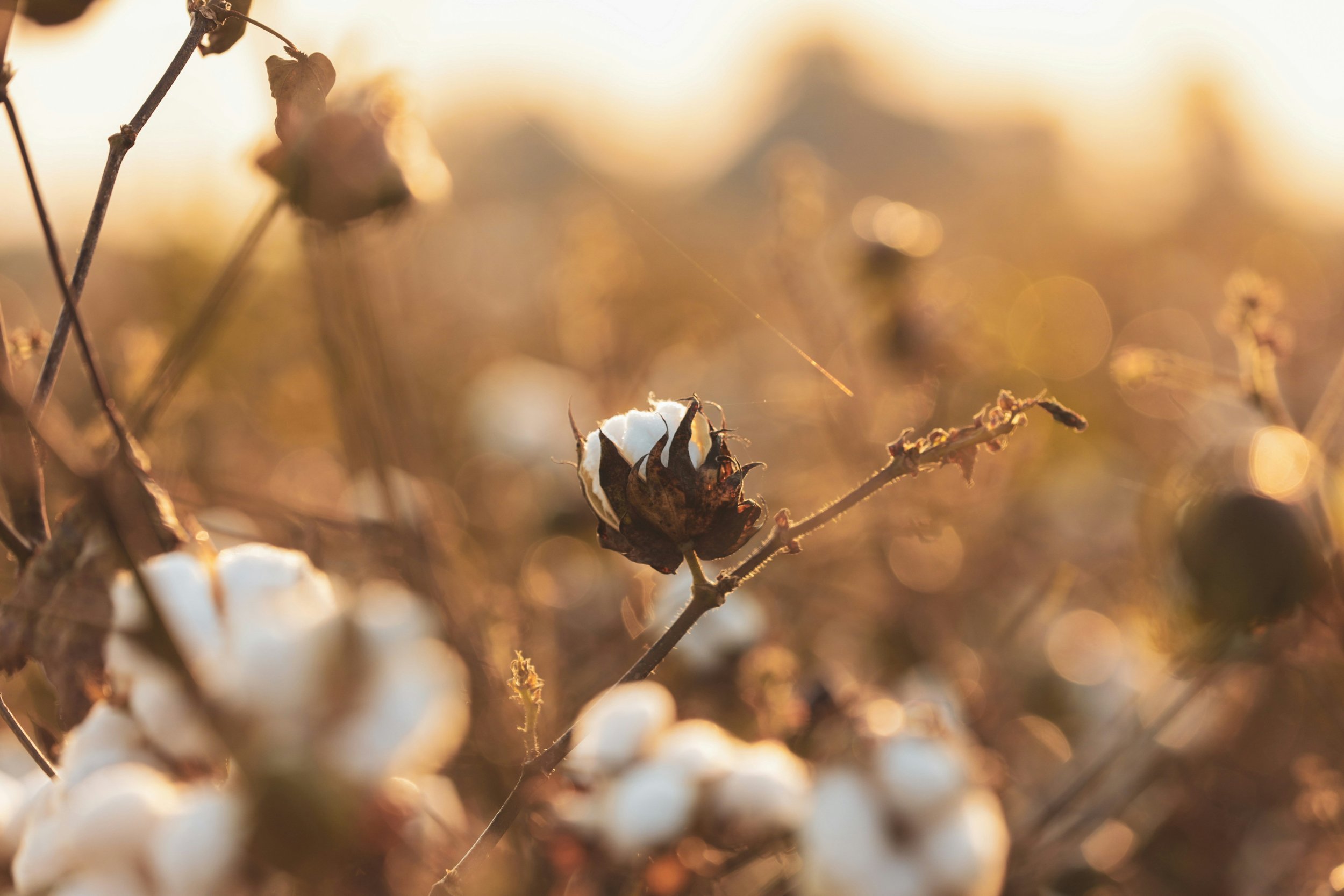  Photo by  Karl Wiggers  on  Unsplash         