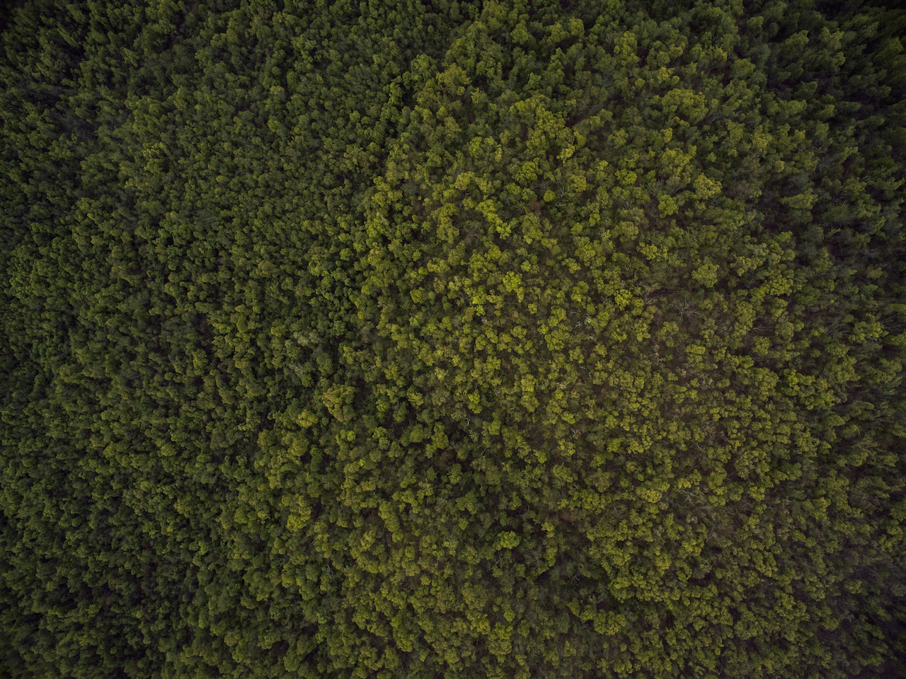  Photo by  Ozark Drones  on  Unsplash         