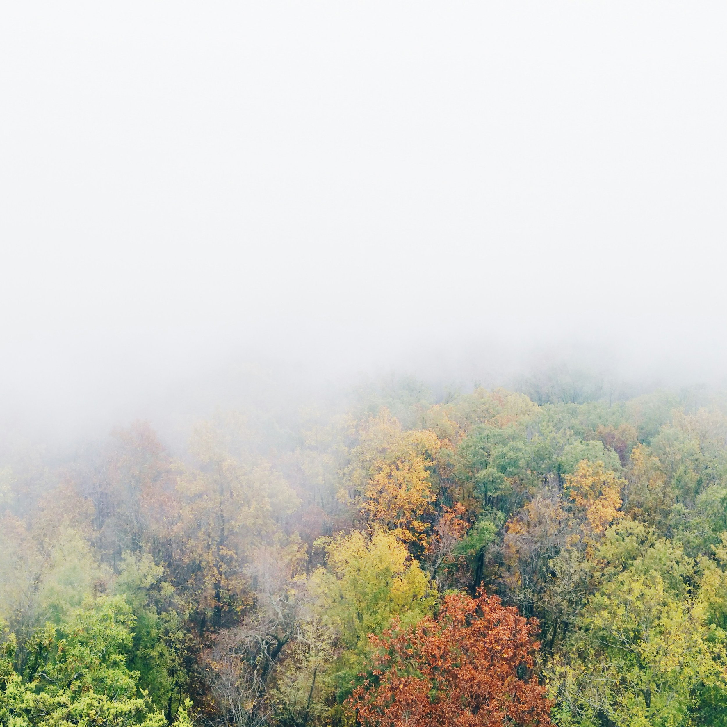  Place:   Mount Magazine Scenic Byway, Paris, AR   Photo:   Yuting Wang  