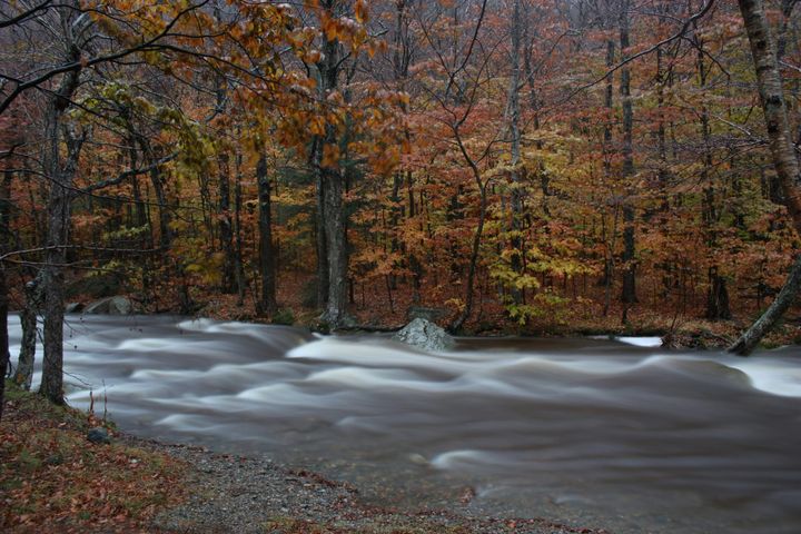 the terms of faith with Mike Rusch.