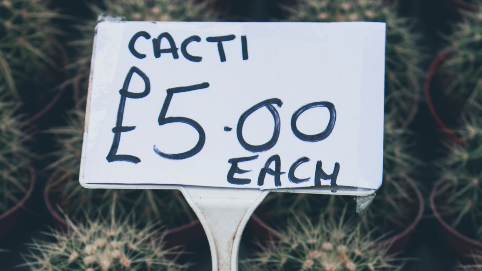 Software pricing models