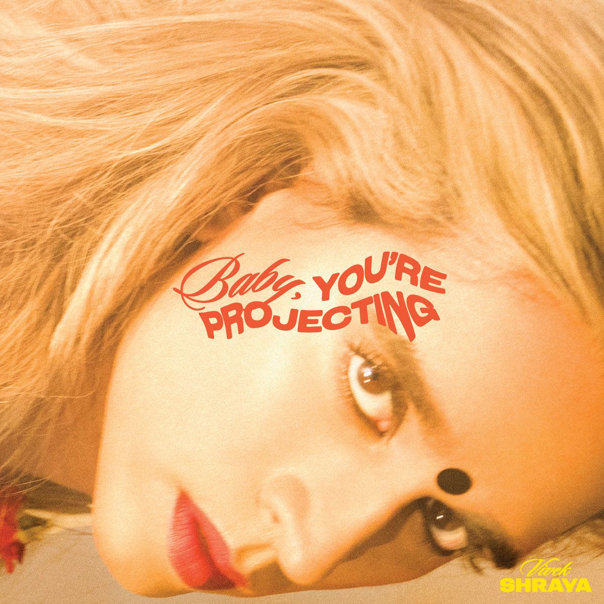 Vivek Shraya - Baby, You’re Projecting
