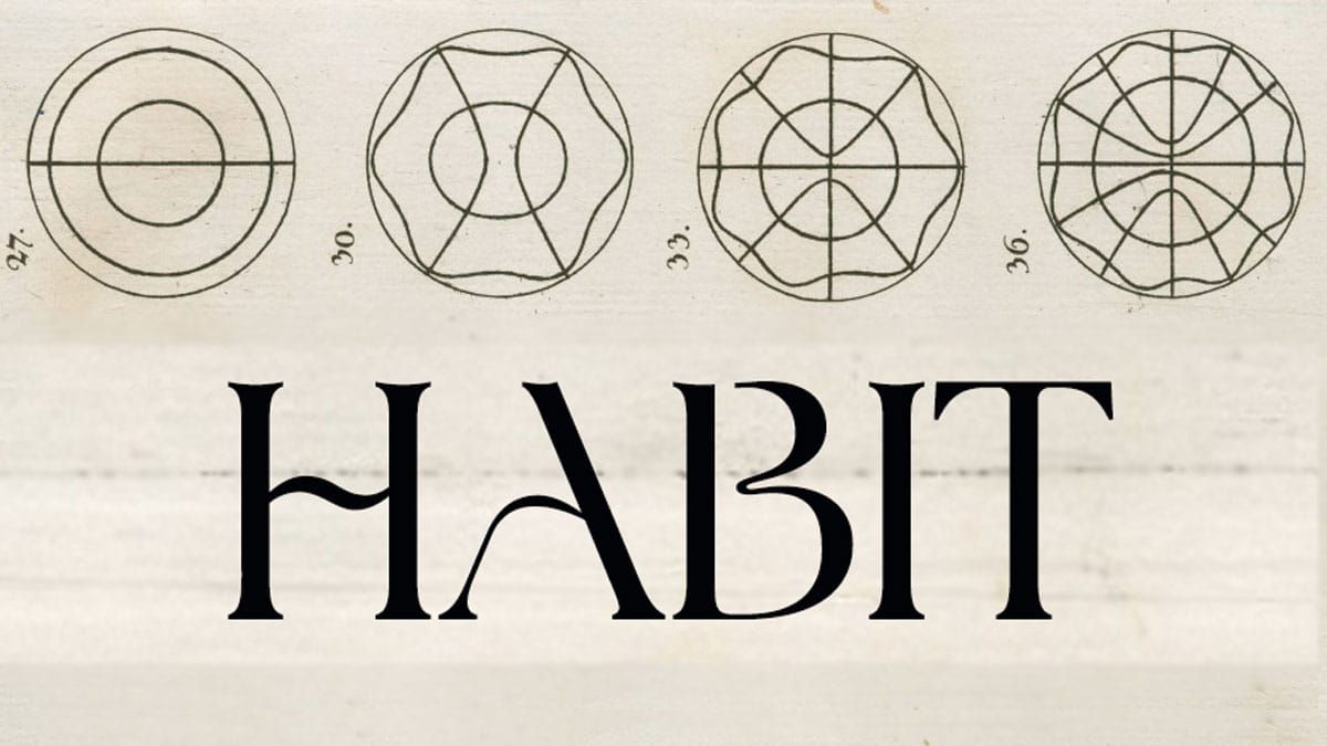 ISSUE 13: HABIT