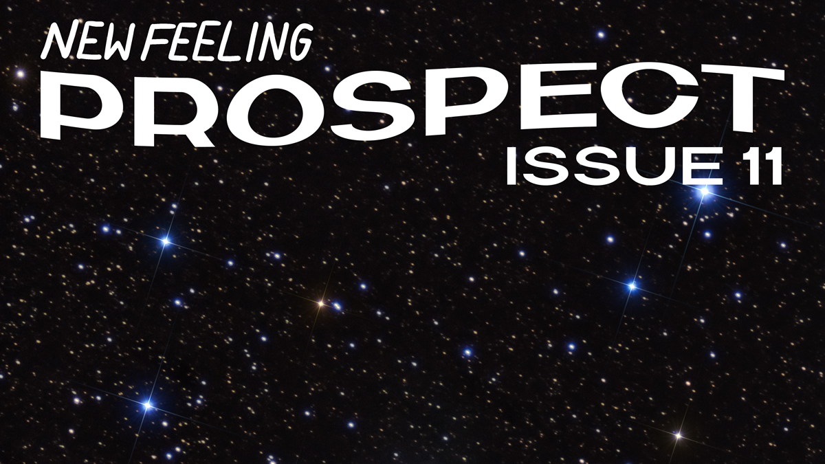 ISSUE 11: Prospect