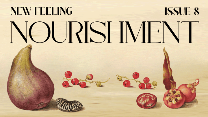 ISSUE 8: Nourishment