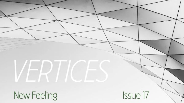 ISSUE 17: VERTICES