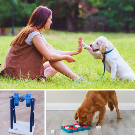 Upgrade Your Dog's Playtime With These Mentally Stimulating Dog Toys