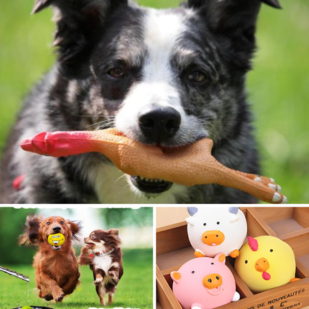 Discover More Fun with the Best Squeaky Toys for Dogs