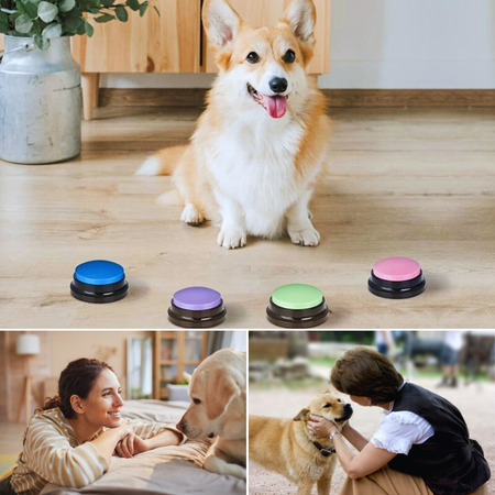 Revolutionize Your Dog's Training with These Talking Buttons For Dogs