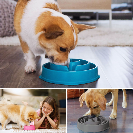 Say goodbye To Mealtime Mess With The Revolutionary Slow Feeder Dog Bowl