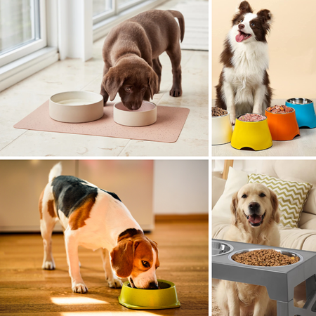 Say Goodbye to Messy Floors: The Game-Changing Elevated Dog Bowl