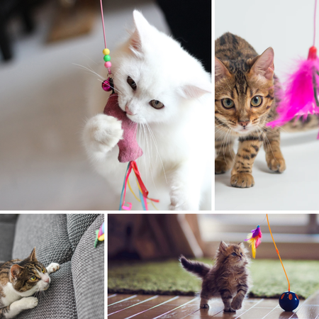 Bored No More: Best Cat Toys For Bored Cats That Will Keep Them Engaged All Day