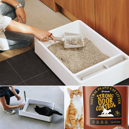 Discover the Perfect Solution For Odor-Free Homes: Tofu Cat Litter