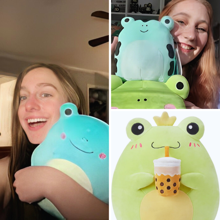 Say Goodbye To Stress And Hello To Cuteness With The Frog Squishmallow
