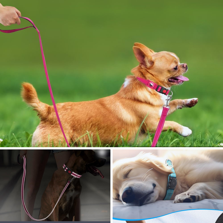 Don't Lose Your Pup - Check Out The Best Airtag Dog Collars
