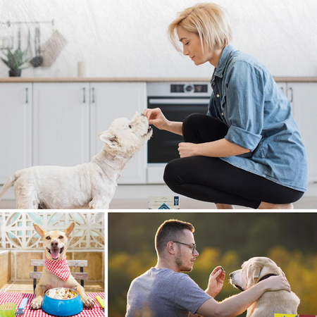 Treat Your Pup to the Best: Our Top 4 Salmon Bites Recipe