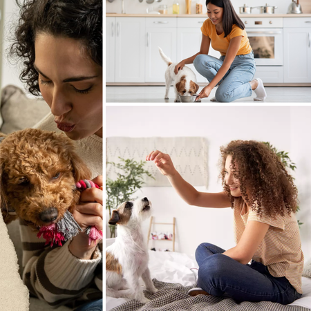 Revolutionize Your Pet's Diet with These Top 4 Freeze-Dried Treats