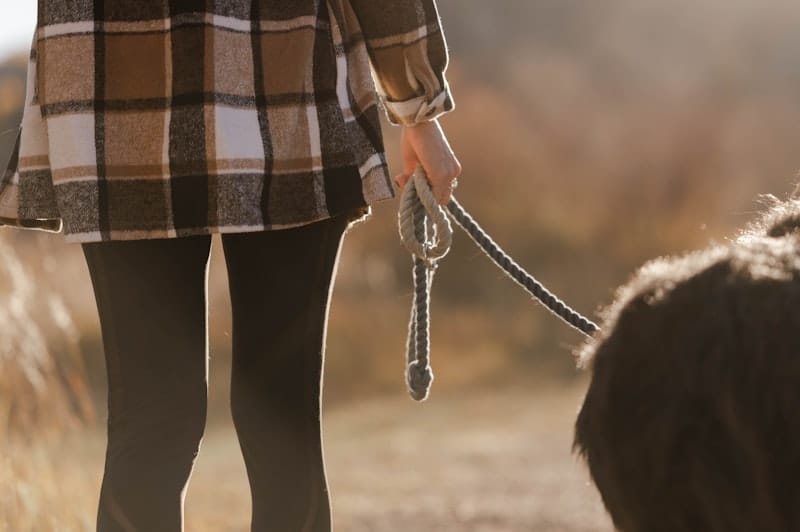 Owner walking dog