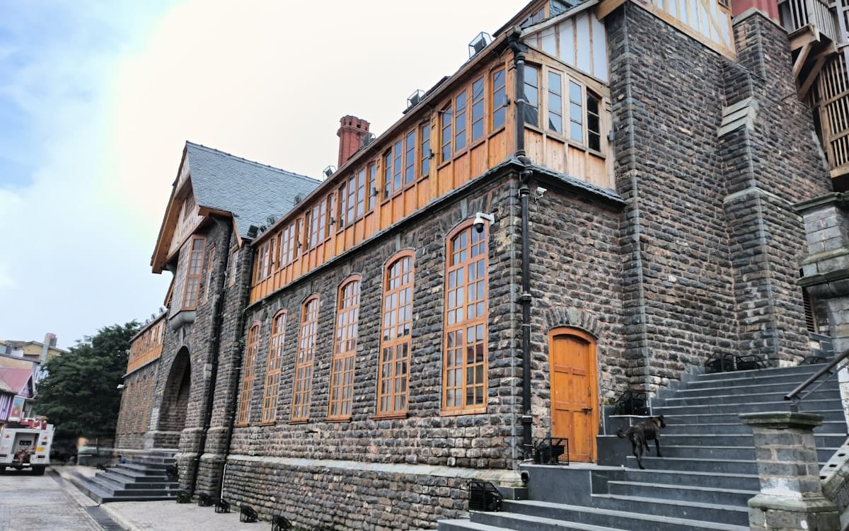 Council Services