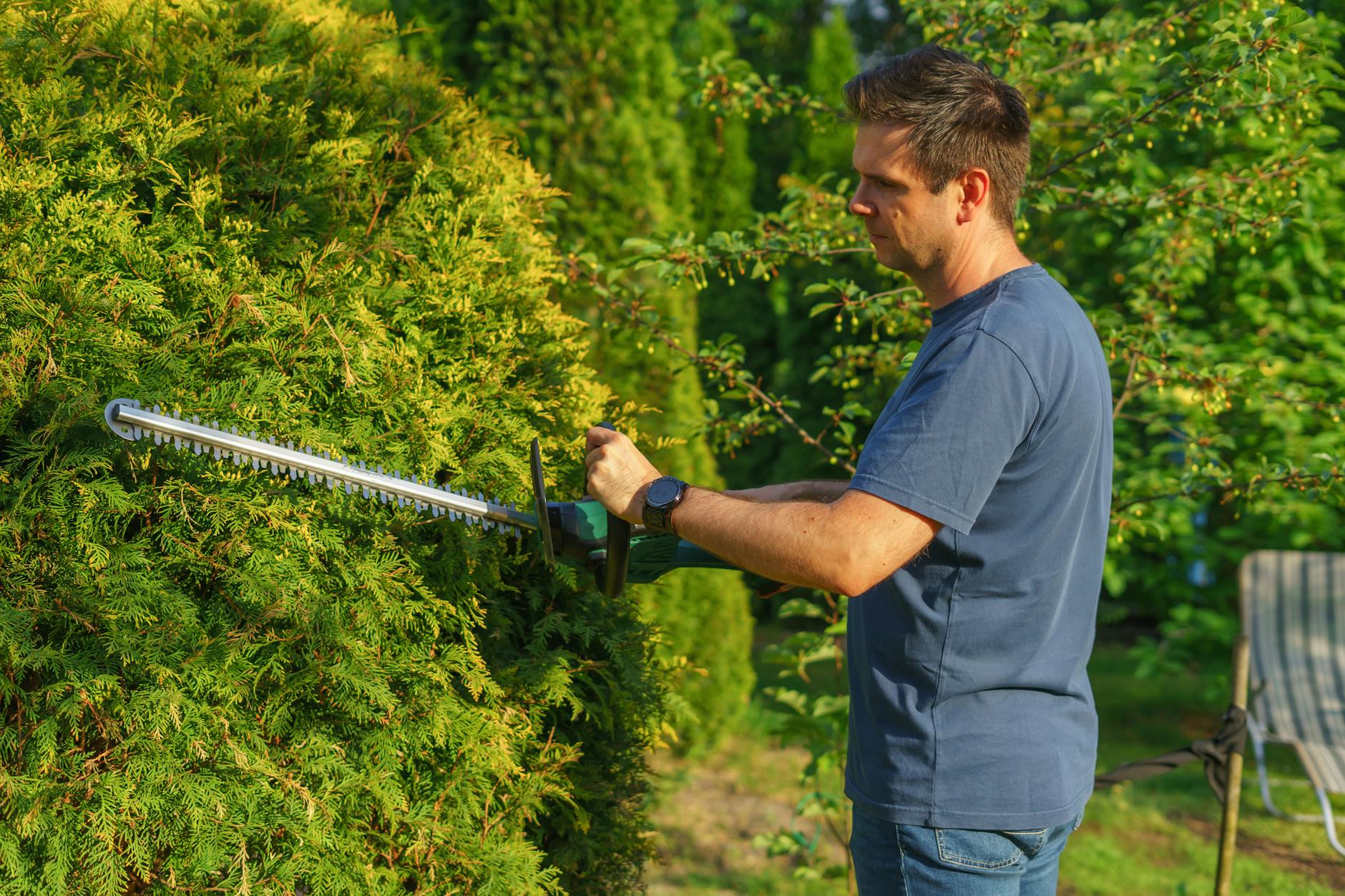 Public Liability Insurance for Gardeners UK: A Practical Guide