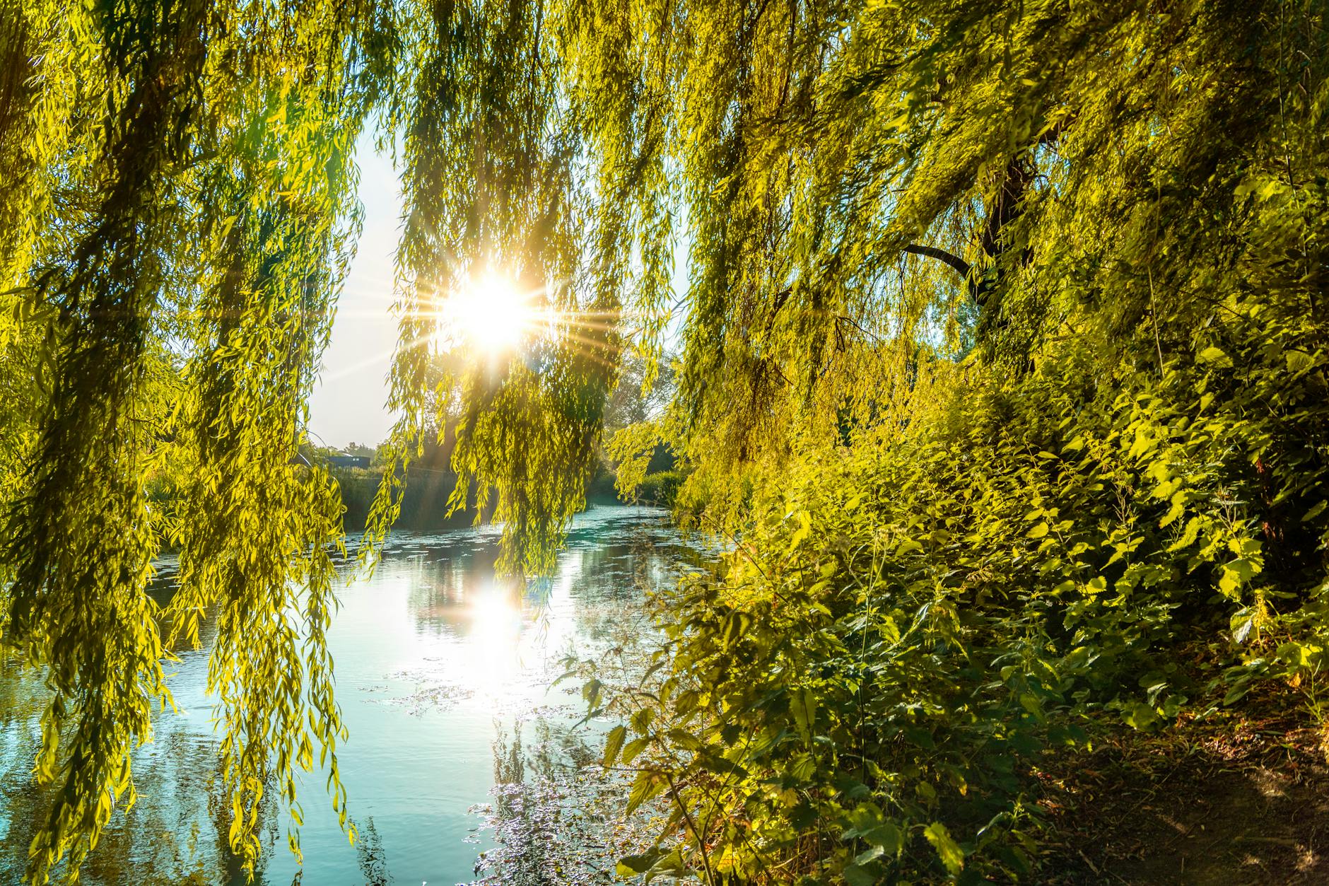 June Heatwave UK 2026: Temperature Forecasts, Health Risks and Financial Impact