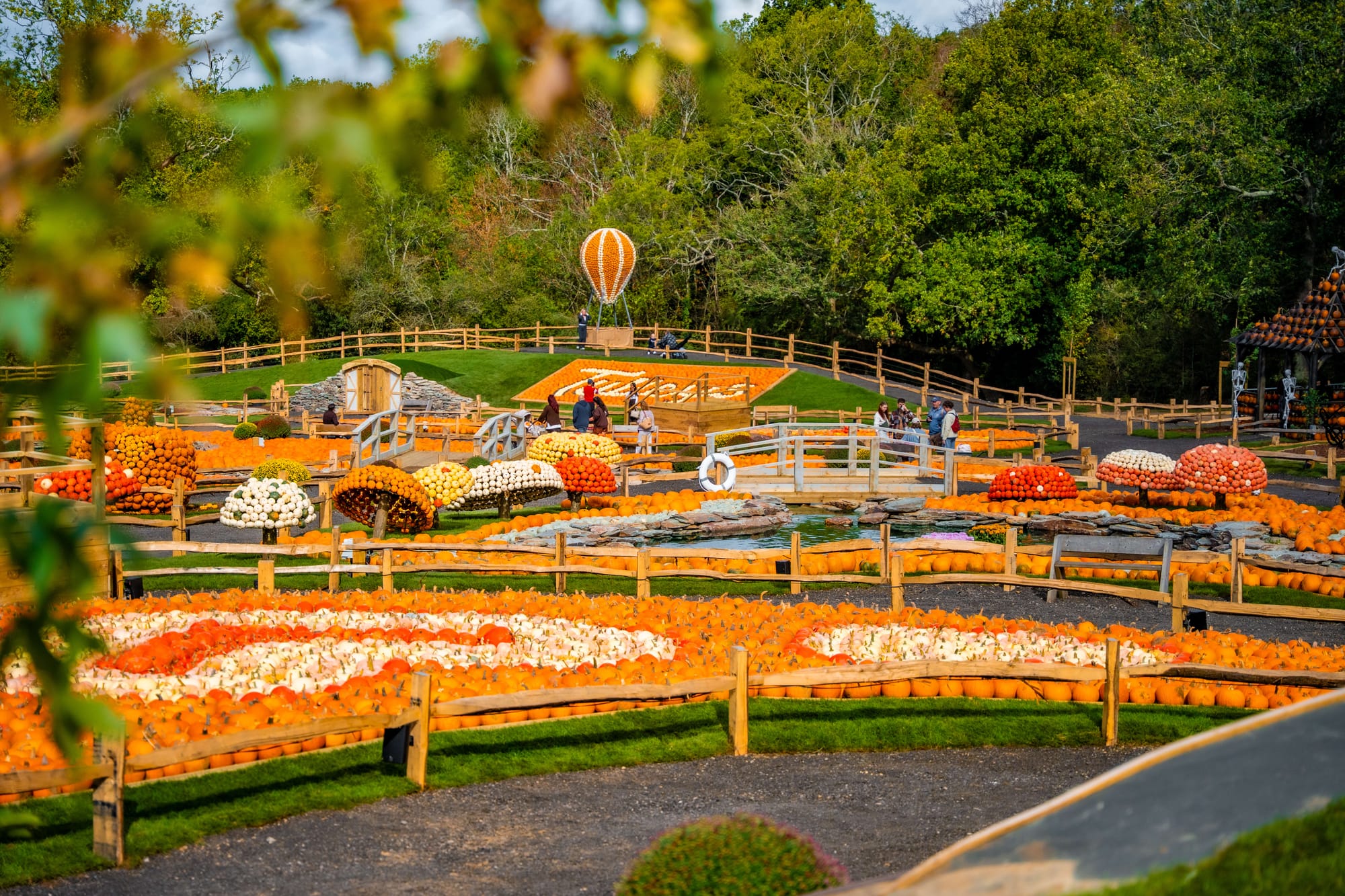 Tulleys Pumpkin Festival opens to record crowds