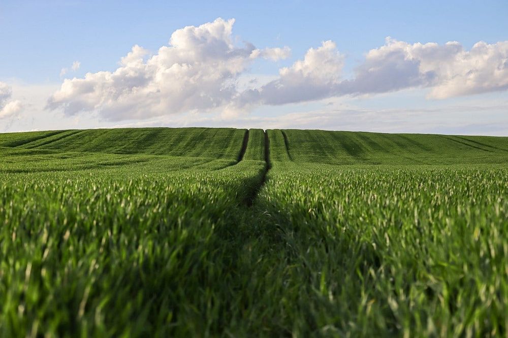 IHT and Farms April 2026: APR/BPR Cap Changes Explained