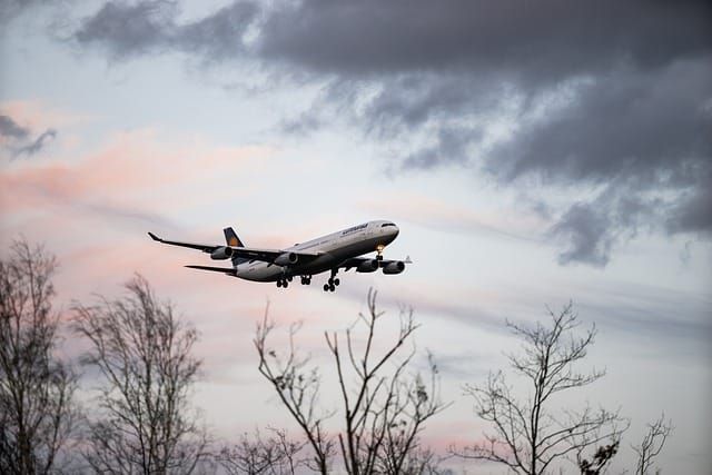 Arriving in the UK with Children: Documents and First Steps