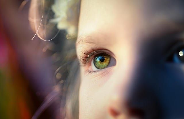 Child Vision Screening Programme — North Tyneside Borough Council | Bid intelligence