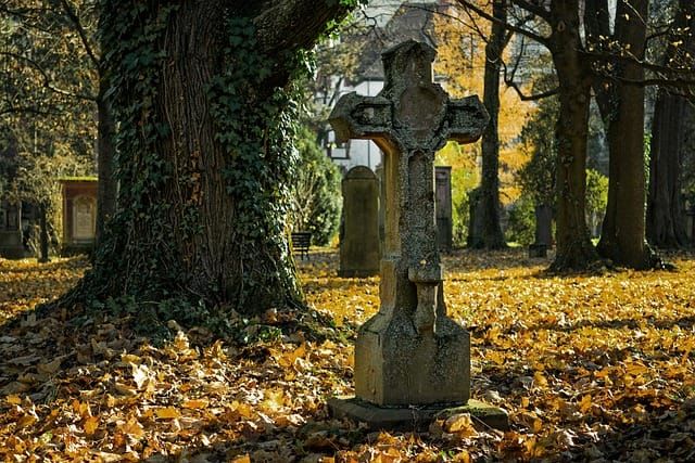 Closed Churchyard Inspections — South Kesteven District Council | Bid intelligence