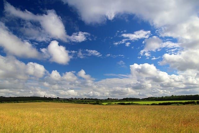 County Durham Drug and Alcohol Recovery Service — Durham County Council | Bid intelligence